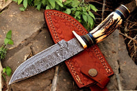 Antler horn and exotic wood handle on a 9.5-inch Damascus hunting knife.
