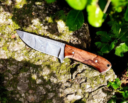 Close-up of the burl olive wood handle on a custom skinning knife.
