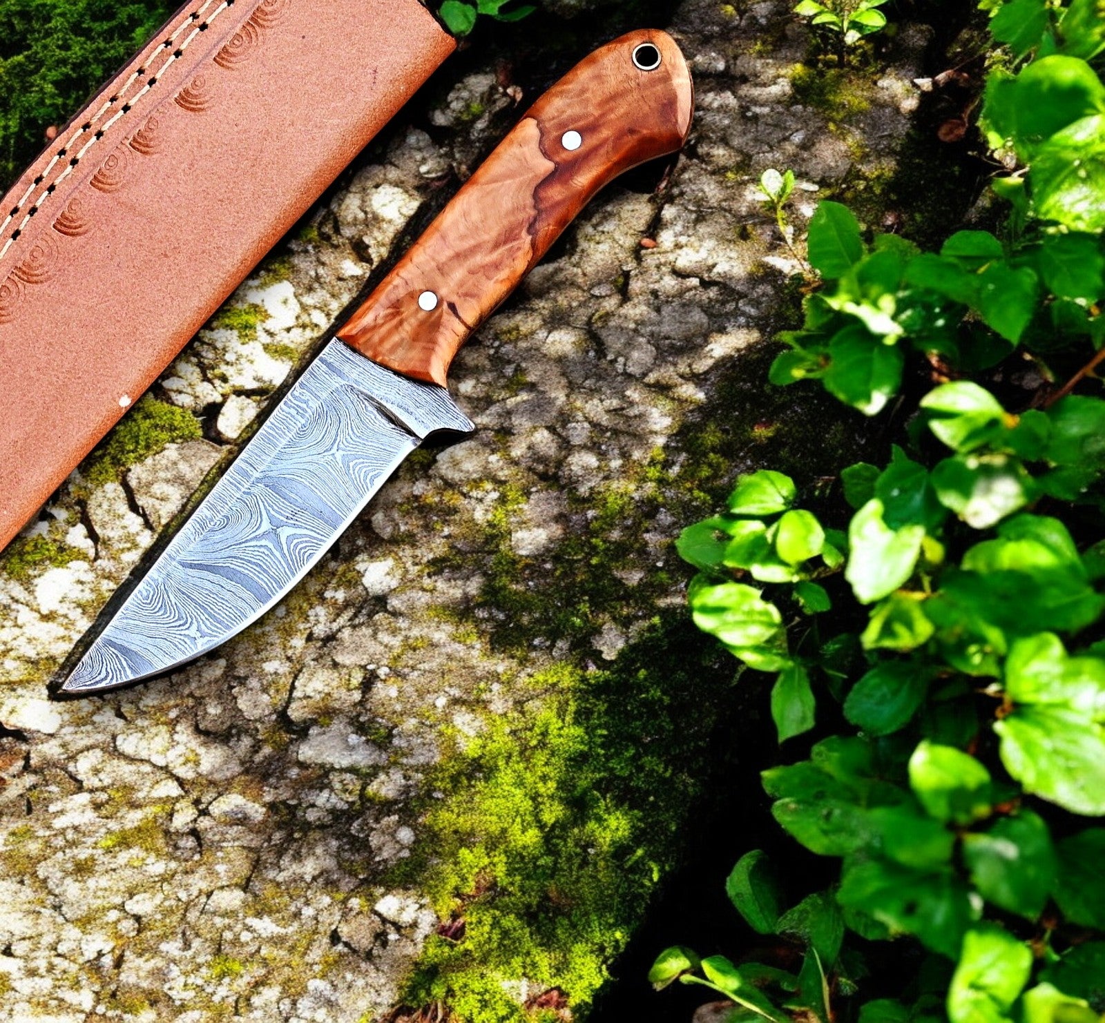 Custom skinning knife with burl olive wood handle and Damascus steel blade.
